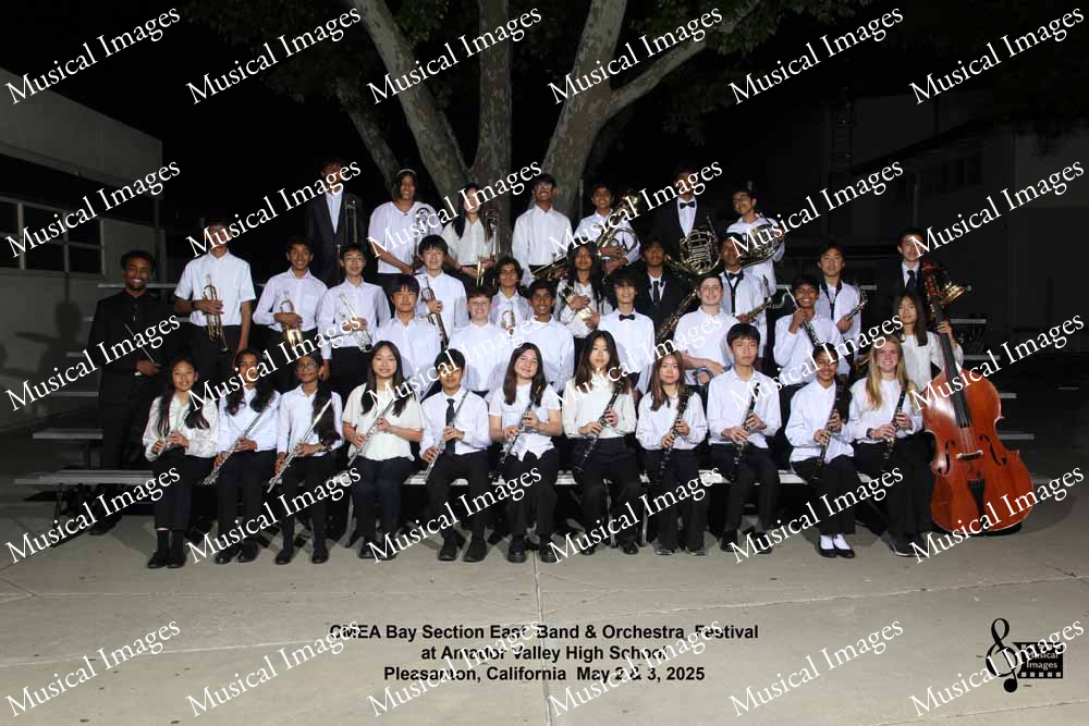Musical Images